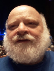 מולי ורד