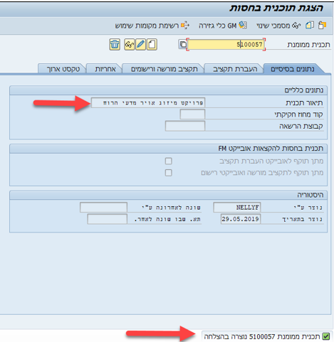 הצגת תוכנית