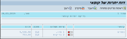 דוח יתרות