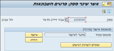 פרטים חשבונאות