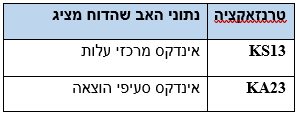 אפשרויות הצגה