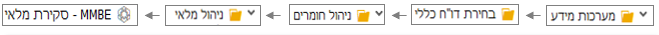 סקירת מלאי