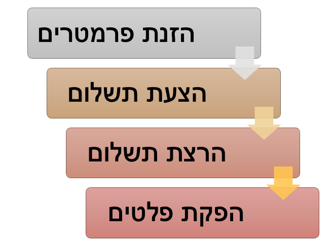 מהלך התשלומים