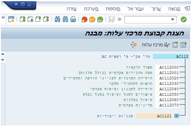הצגת קבוצת מרכזי עלות: מבנה