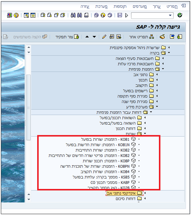 גישה קלה ל SAP
