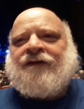 מולי ורד